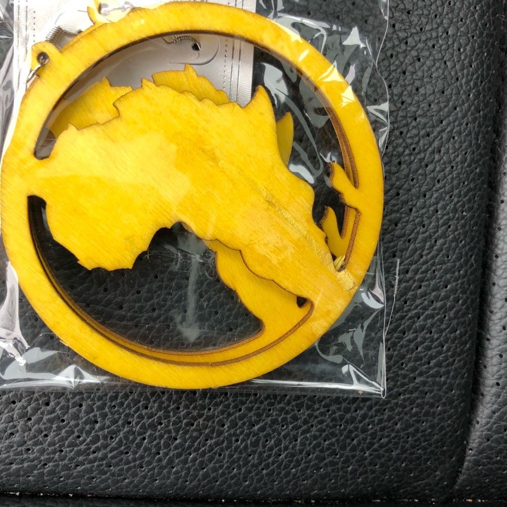 Africa Earrings